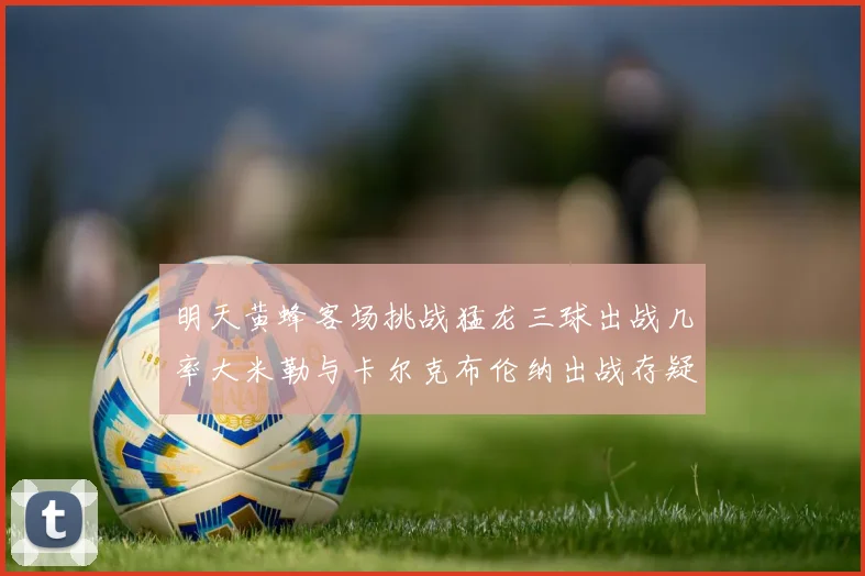 明天黄蜂客场挑战猛龙三球出战几率大米勒与卡尔克布伦纳出战存疑